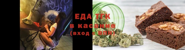 хмурый Аркадак