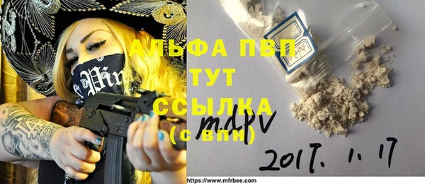 хмурый Аркадак