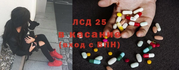 хмурый Аркадак