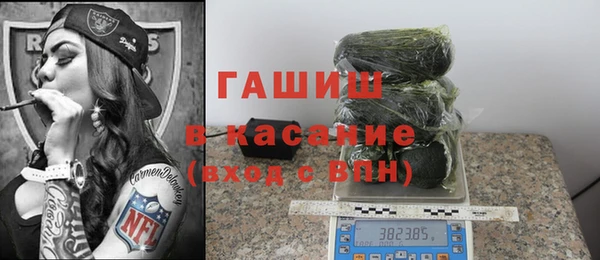 хмурый Аркадак