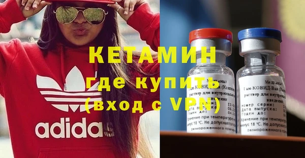 хмурый Аркадак
