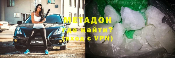 хмурый Аркадак