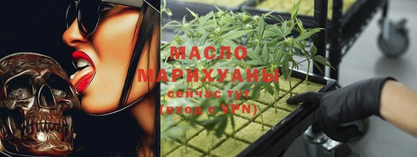 хмурый Аркадак