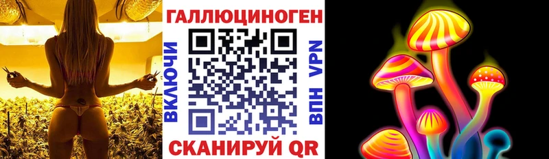 Псилоцибиновые грибы Psilocybe Нововоронеж