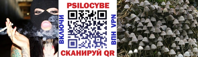 Псилоцибиновые грибы Magic Shrooms  Купить закладки  Нововоронеж 